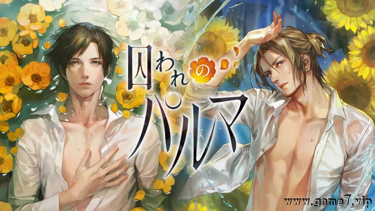 被囚禁的掌心丨Toraware no Palm Deluxe Edition丨囚われのパルマ