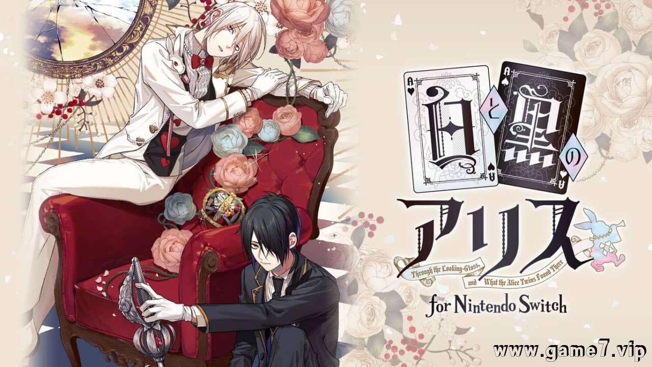 白与黑的爱丽丝丨Shiro to Kuro no Alice for Nintendo Switch丨白と黒のアリス for Nintendo Switch插图