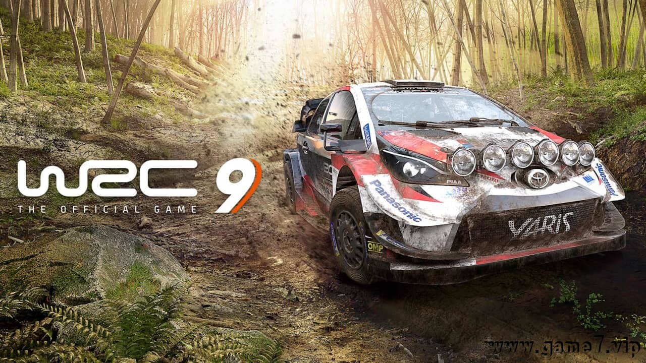 世界拉力锦标赛9丨WRC 9 The Official Game插图